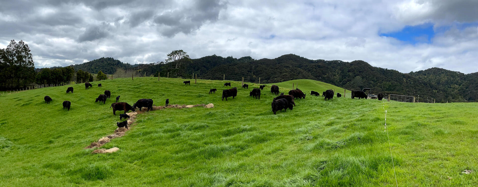 Rural Contracting Rural Contracting