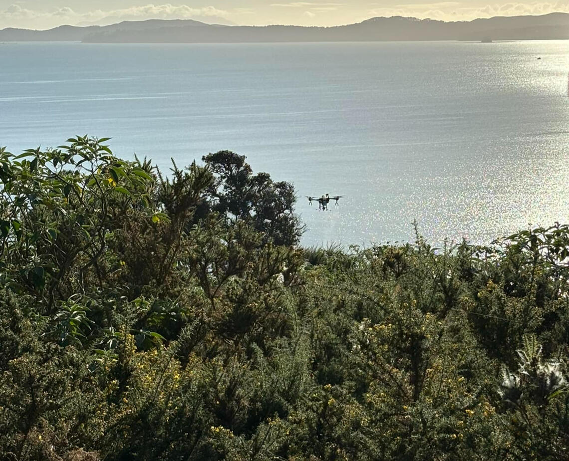 Drone spraying Drone spraying