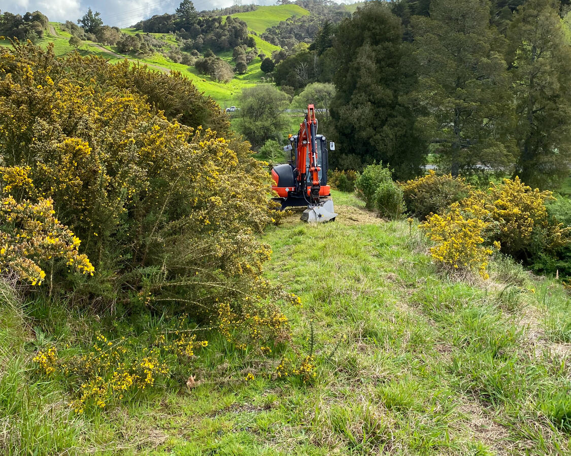 Before mulching Before mulching