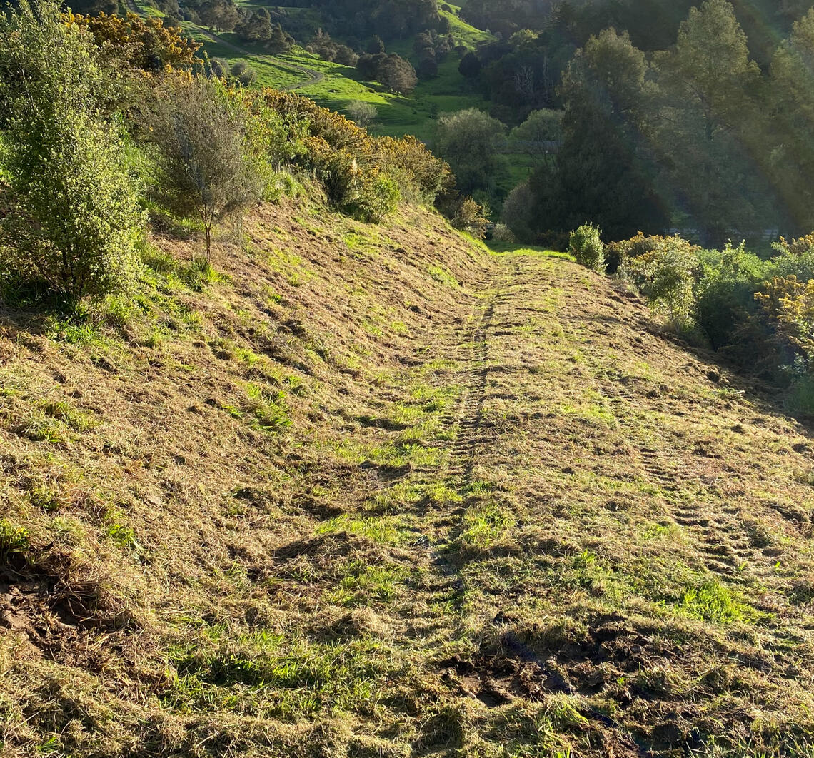 After mulching After mulching